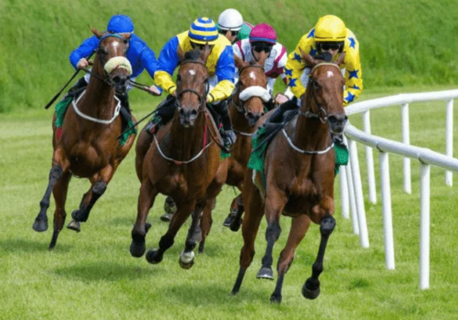 ledueldutierce || ledueldutierce turf